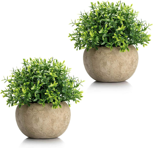 2Pcs Mini Artificial Boxwood Topiary Faux Plants Indoor- Small Fake Plants Decor Magnolia Home Office Desk Cubicle Farmhouse Kitchen Bookshelf Bedroom Bathroom Decor, Aloe Vera Zen Garden